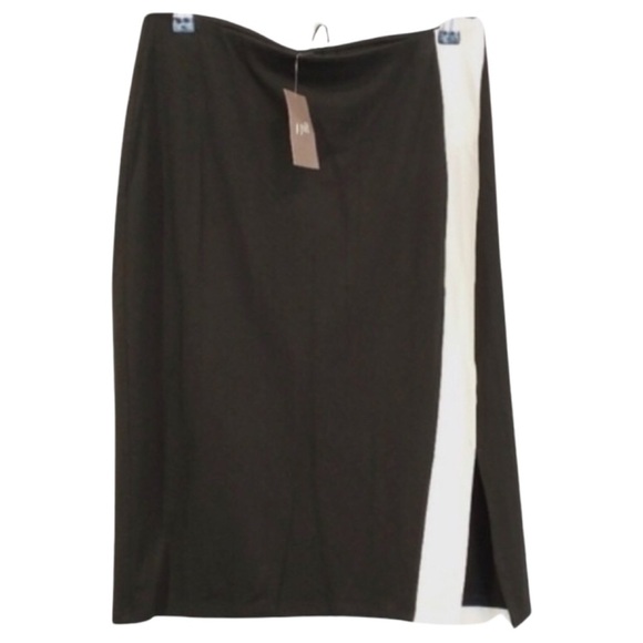 NWT J. JILL Wearever Pull On Skirt - Picture 3 of 11